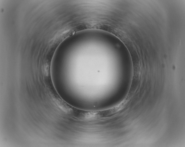 X0000088600090200705251225