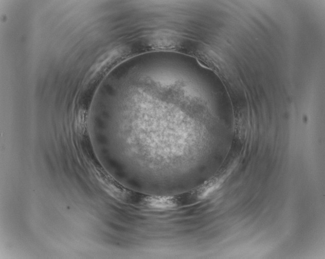 X0000088600093200705251225