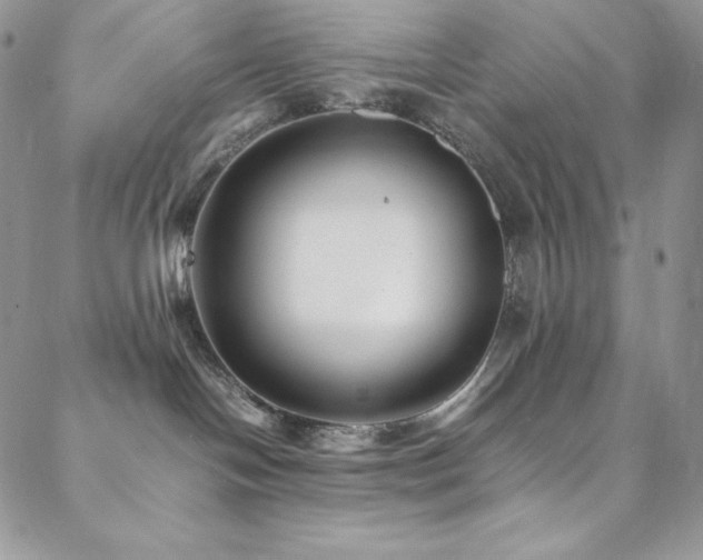 X0000088600094200705251225