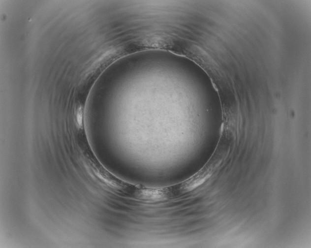 X0000088600095200705251225