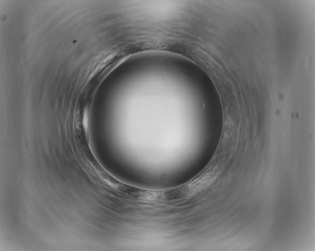 X0000088600096200705251225