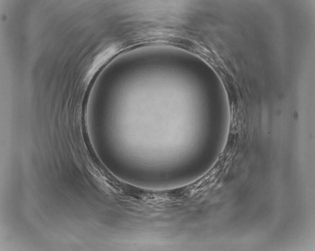 X0000088600099200705251224