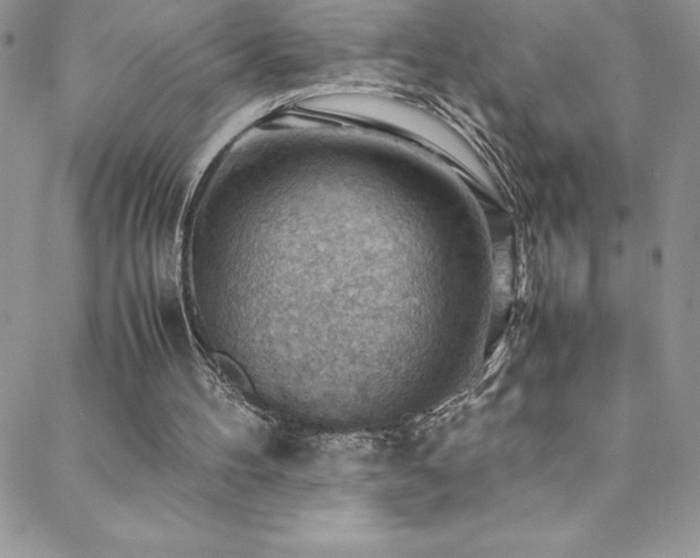 X0000088600100200705251224