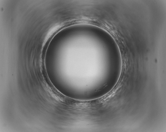 X0000088600102200705251224