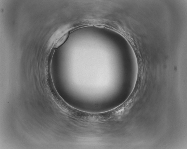 X0000088600103200705251224