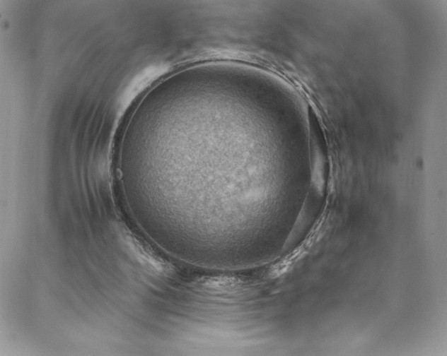 X0000088600104200705251224