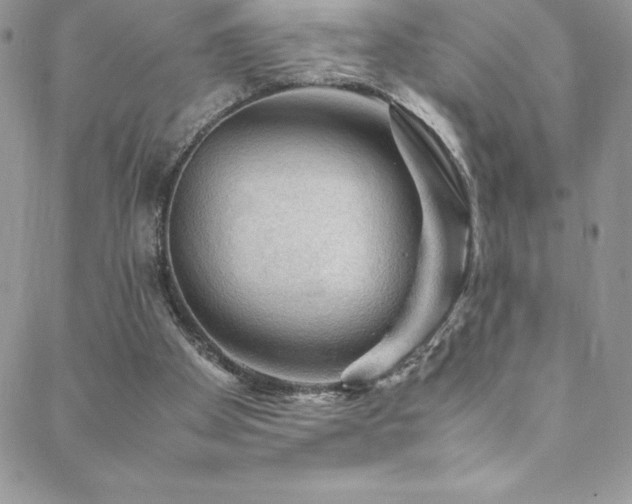 X0000088600105200705251224