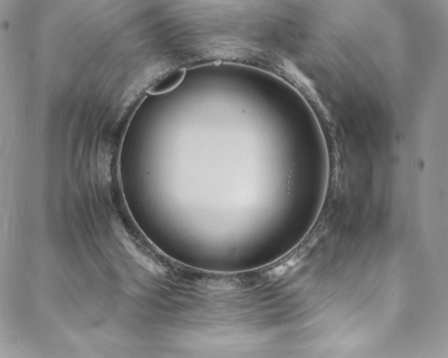 X0000088600106200705251224