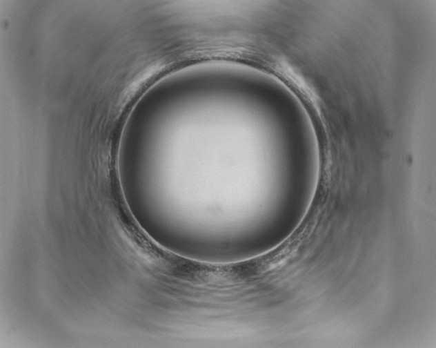 X0000088600107200705251224