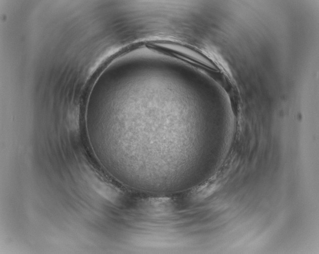 X0000088600108200705251224