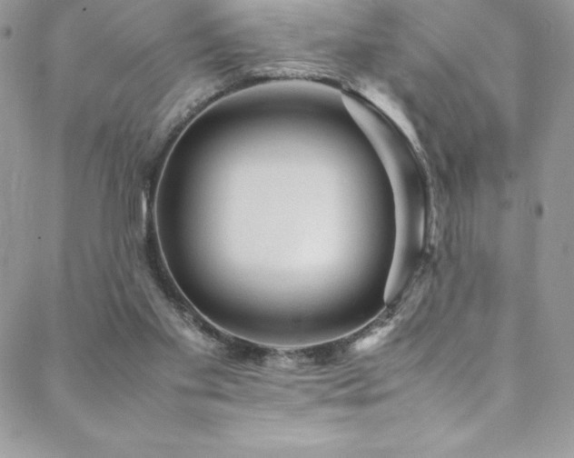 X0000088600109200705251224