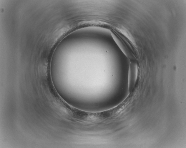 X0000088600111200705251224