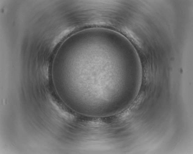 X0000088600112200705251224