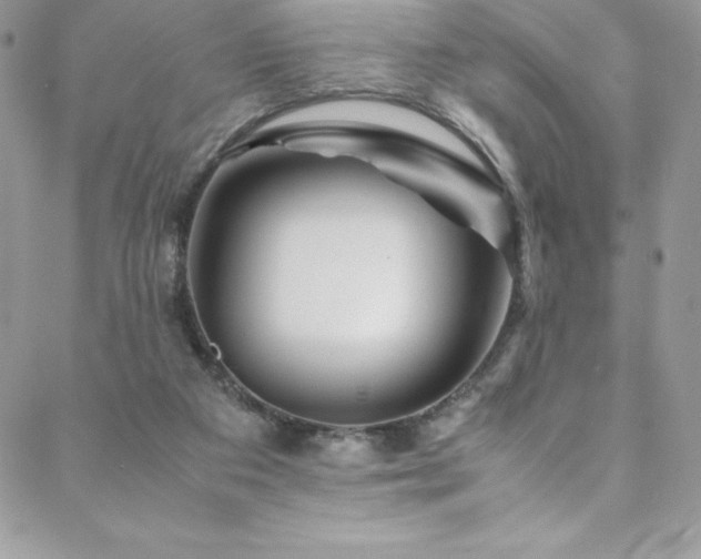 X0000088600113200705251224