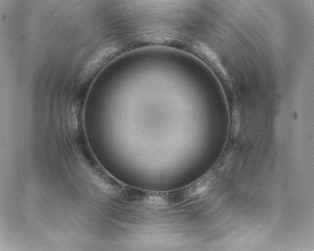 X0000088600114200705251224