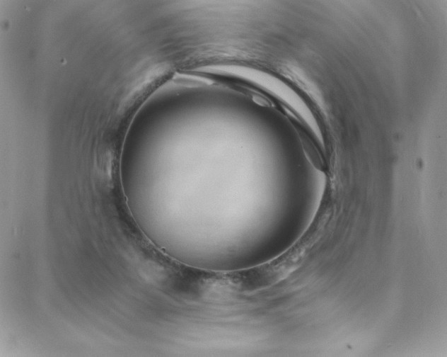 X0000088600115200705251224