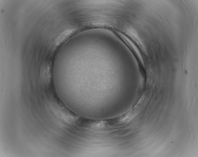 X0000088600116200705251224