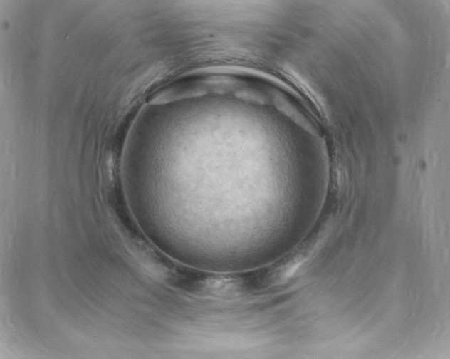 X0000088600117200705251224