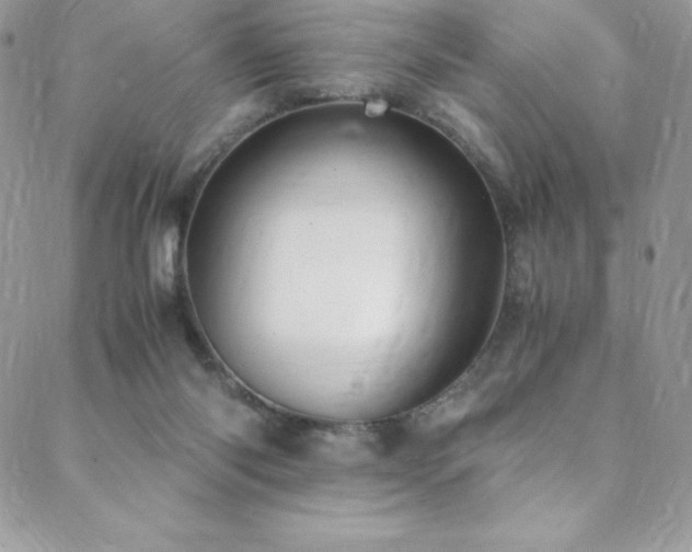 X0000088600118200705251224