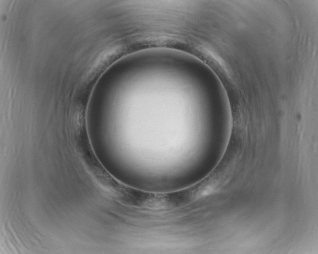 X0000088600119200705251224