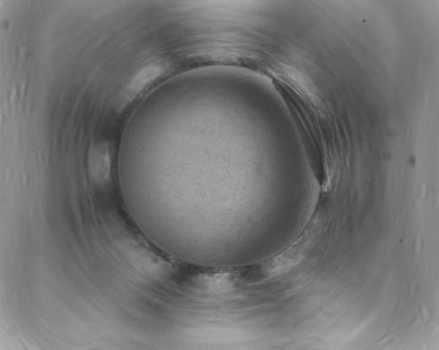 X0000088600120200705251224