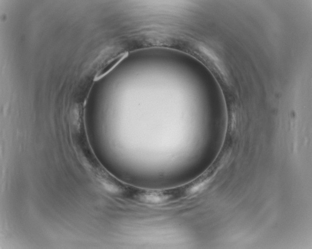 X0000088600121200705251224