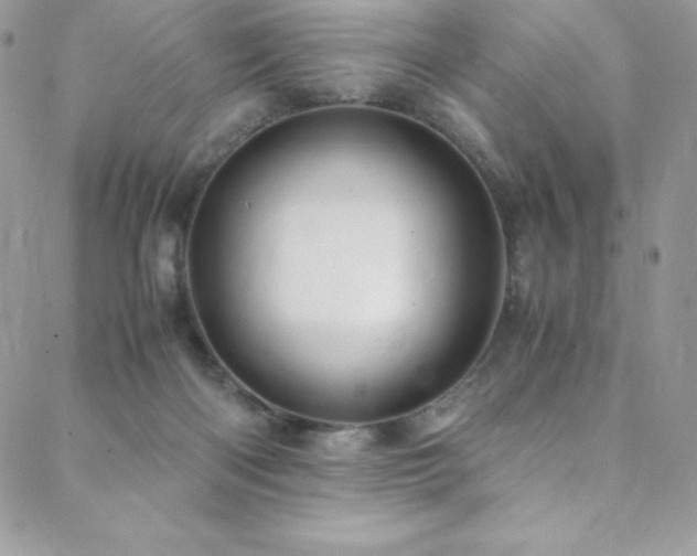 X0000088600122200705251224