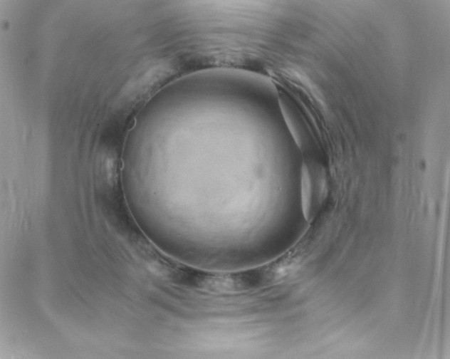 X0000088600123200705251224