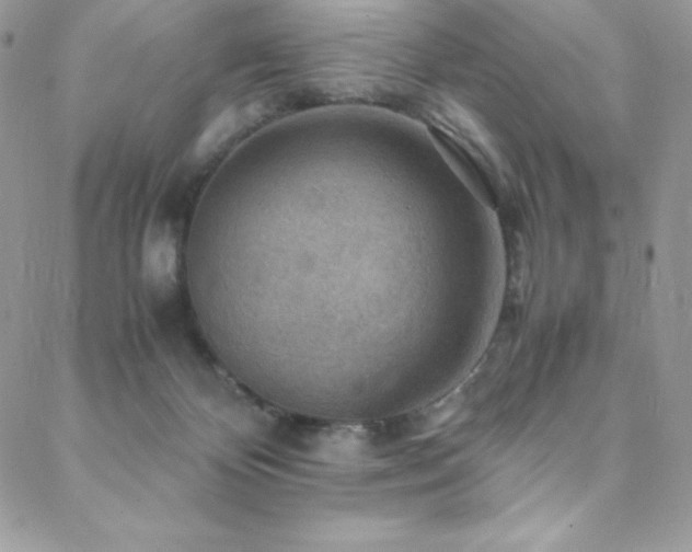 X0000088600124200705251224