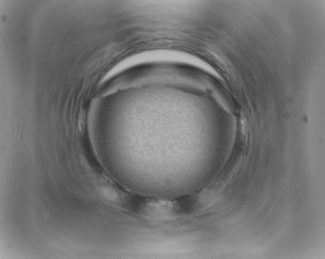 X0000088600125200705251224