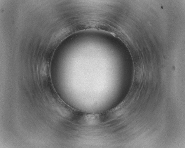 X0000088600126200705251224