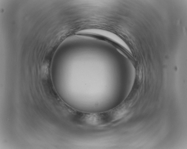 X0000088600127200705251224