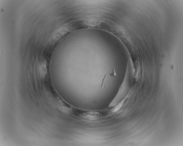 X0000088600128200705251224