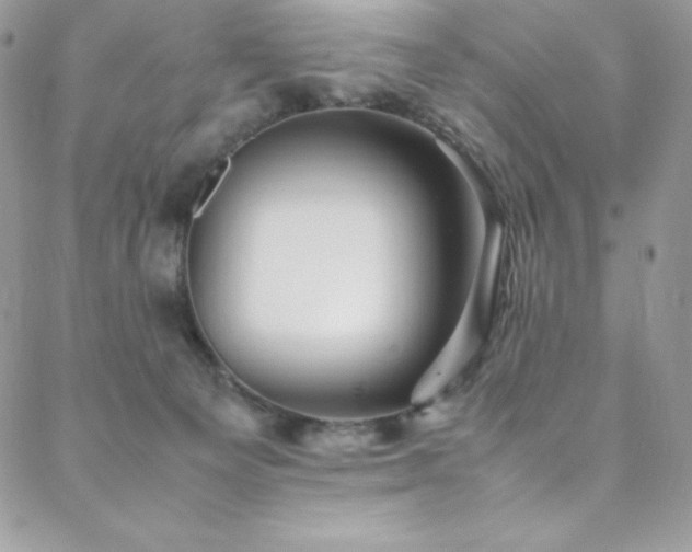 X0000088600129200705251223