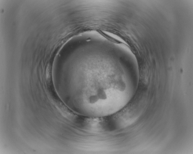 X0000088600131200705251223