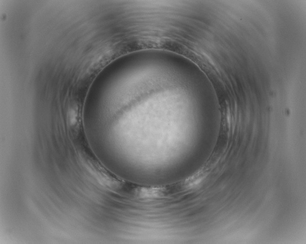 X0000088600134200705251223