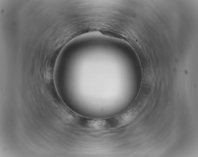 X0000088600135200705251223