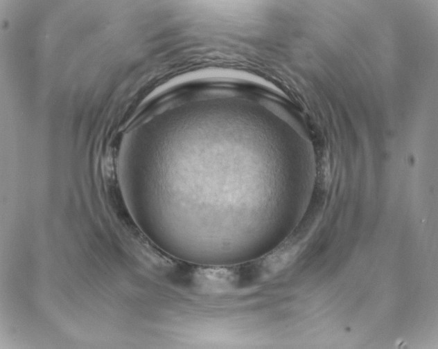 X0000088600137200705251223