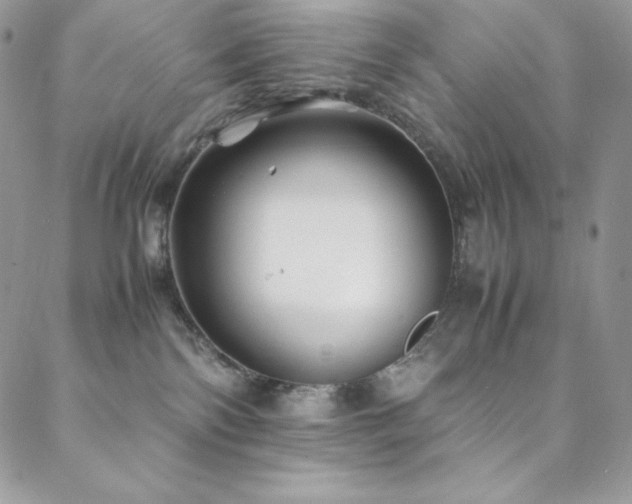 X0000088600138200705251223