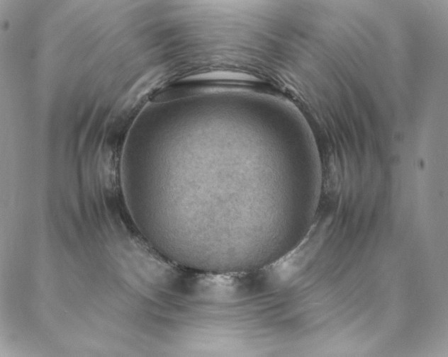 X0000088600140200705251223