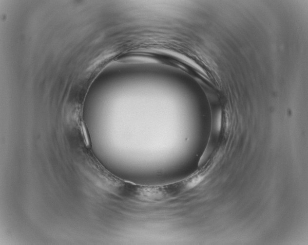 X0000088600141200705251223