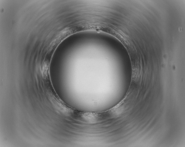 X0000088600142200705251223