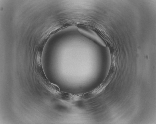 X0000088600143200705251223