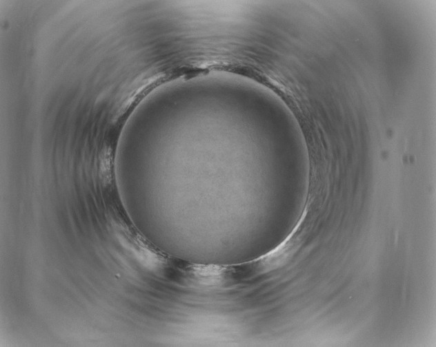 X0000088600144200705251223