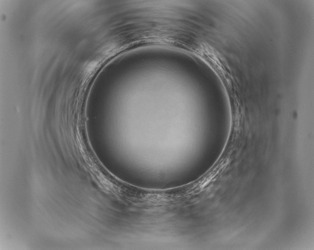 X0000088600145200705251222