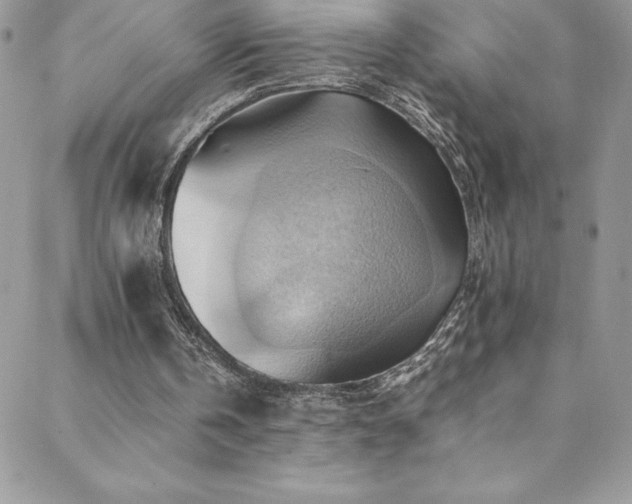 X0000088600146200705251222