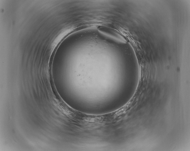 X0000088600147200705251223