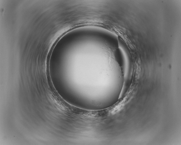 X0000088600148200705251223