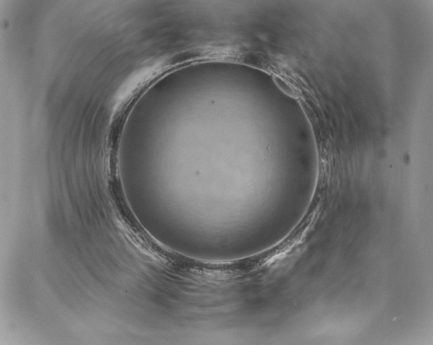 X0000088600149200705251223