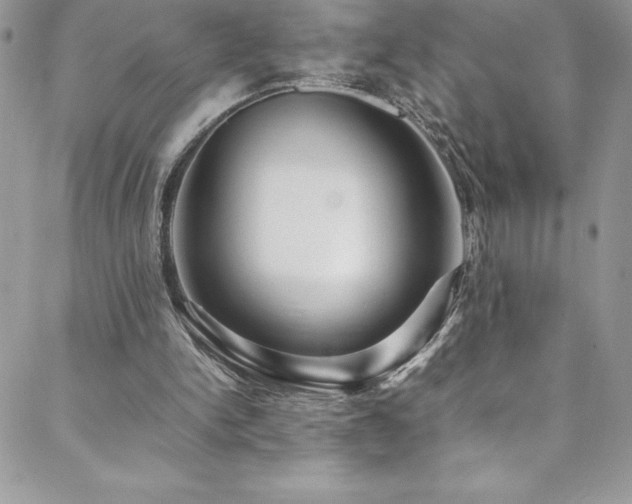 X0000088600150200705251223